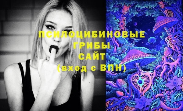 spice Абаза